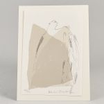 1745 4135 Färglitografi